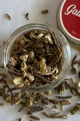 Angelica root